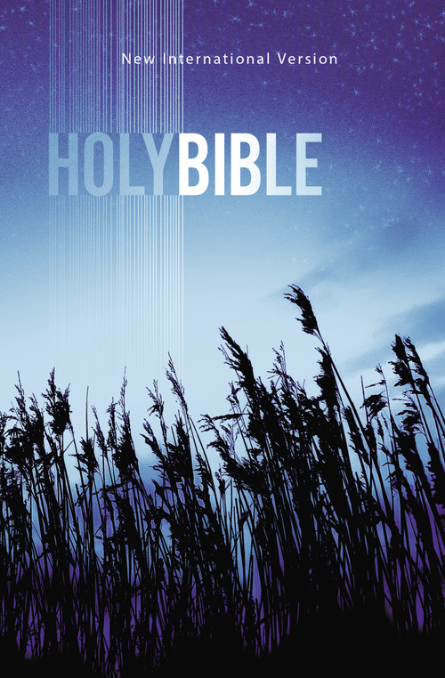 NIV, Value Outreach Bible, Paperback ((Affordable Bulk Distribution Bible for Evangelism and Discipleship)) by Zondervan, 9780310446828
