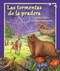 Las tormentas de la pradera (Prairie Storms) by Darcy Pattison, Kathleen Rietz, 9781628554151
