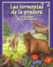 Las tormentas de la pradera (Prairie Storms) (Spanish Edition) by Darcy Pattison, Kathleen Rietz, 9781628554151