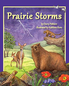 Prairie Storms by Darcy Pattison, Kathleen Rietz, 9781607181392