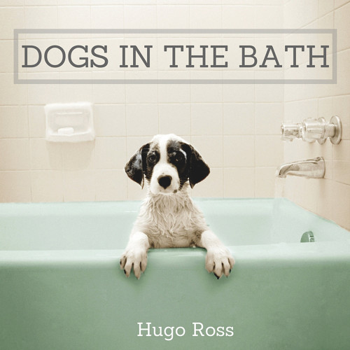 Dogs in the Bath by Hugo Ross, 9781785300615
