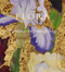 Flora (Paintings by Janet Alling) by Janet Alling, 9780825306358