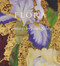 Flora (Paintings by Janet Alling) by Janet Alling, 9780825306358