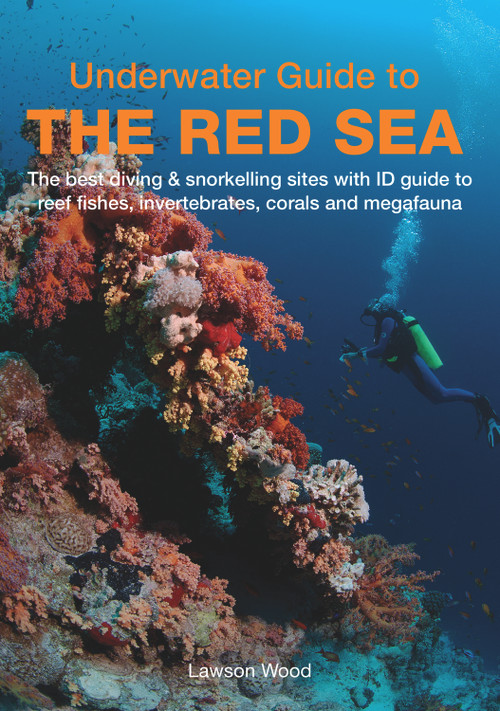 Underwater Guide to the Red Sea by Lawson Wood, 9781909612846