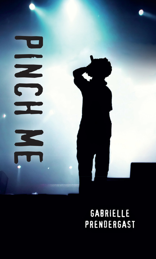 Pinch Me by Gabrielle Prendergast, 9781459813649