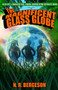 The Magnificent Glass Globe by N.R Bergeson, 9781945107818