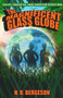 The Magnificent Glass Globe by N.R Bergeson, 9781945107818