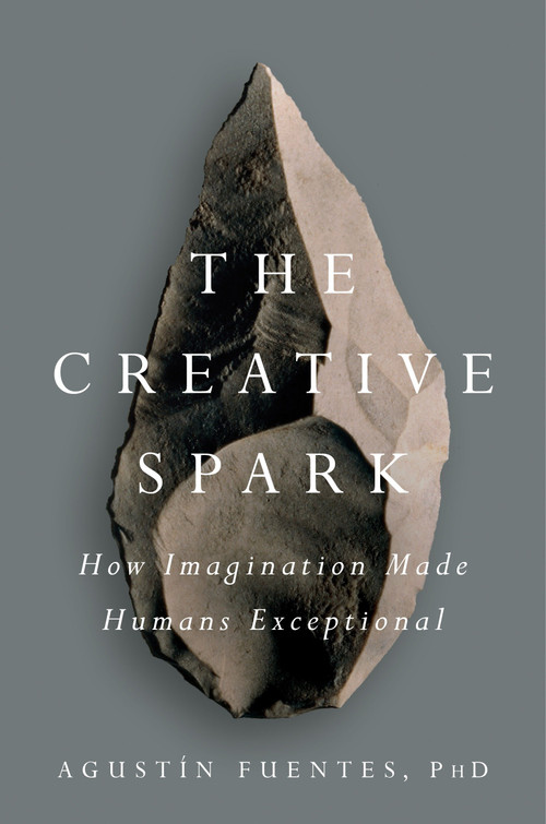 The Creative Spark (How Imagination Made Humans Exceptional) by Agustín Fuentes, 9781101983942