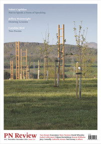 PN Review 232 by Luke Allan, Michael Schmidt, 9781784101435