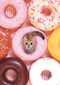 Tiny Cat Flexi Journal by Yoneo Morita, 9781452161044