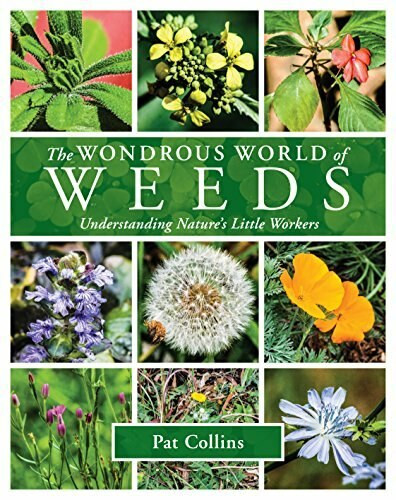 The Wondrous World of Weeds by Pat  Collins, 9781921517792