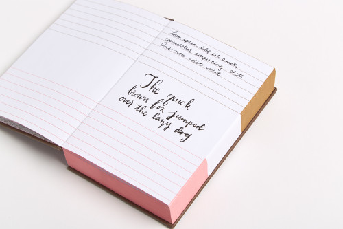 Brain Freeze Journal by Potter Gift, 9780553459623