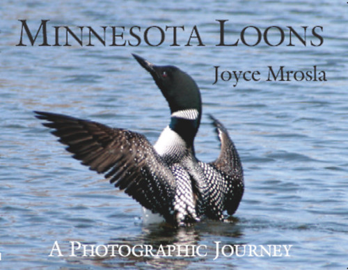 Minnesota Loons by Joyce Mrosla, 9780878394456