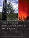 The Year Yellowstone Burned (A Twenty-Five-Year Perspective) by Jeff Henry, Bob Barbee, 9781589799035