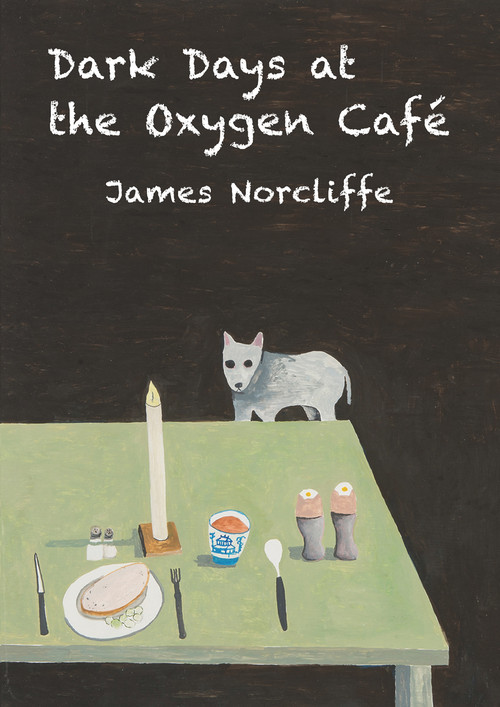 Dark Days at the Oxygen Cafe by James Norcliffe, 9781776560837