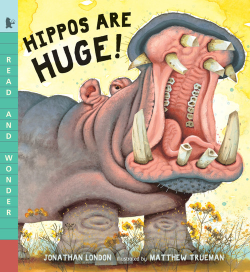 Hippos Are Huge! (Read and Wonder) - 9780763679521 by Jonathan London, Matthew Trueman, 9780763679521
