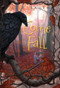 Come Fall by A.C.E. Bauer, 9780375858260