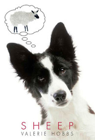 Sheep by Valerie Hobbs, 9780312561161