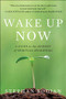 Wake Up Now by Stephan Bodian, 9780071742221