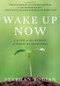 Wake Up Now by Stephan Bodian, 9780071742221