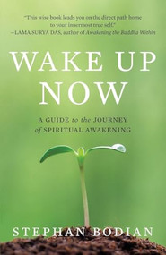 Wake Up Now by Stephan Bodian, 9780071742221