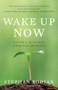 Wake Up Now by Stephan Bodian, 9780071742221