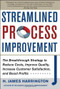 Streamlined Process Improvement by H. James Harrington, 9780071768634