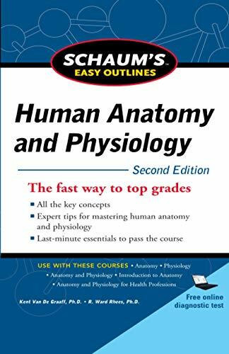 Schaum's Easy Outline of Human Anatomy and Physiology, Second Edition by R. Ward Rhees, Kent M. Van De Graaff, 9780071745864