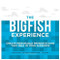 The Big Fish Experience: Create Memorable Presentations That Reel In Your Audience by Luke Jones, Robert Killeen, Gus Murillo, Kenny Nguyen, 9780071834926