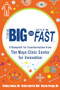 Think Big, Start Small, Move Fast: A Blueprint for Transformation from the Mayo Clinic Center for Innovation by Nicholas LaRusso, Gianrico Farrugia, Barbara Spurrier, 9780071838665