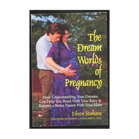 DREAM WORLDS OF PREGNANCY by Eileen Stukane, 9780882681658
