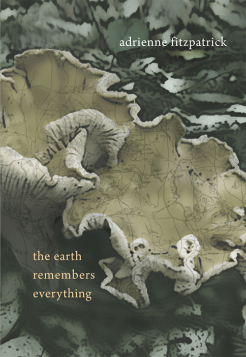 The Earth Remembers Everything by Adrienne Fitzpatrick, 9781894759908