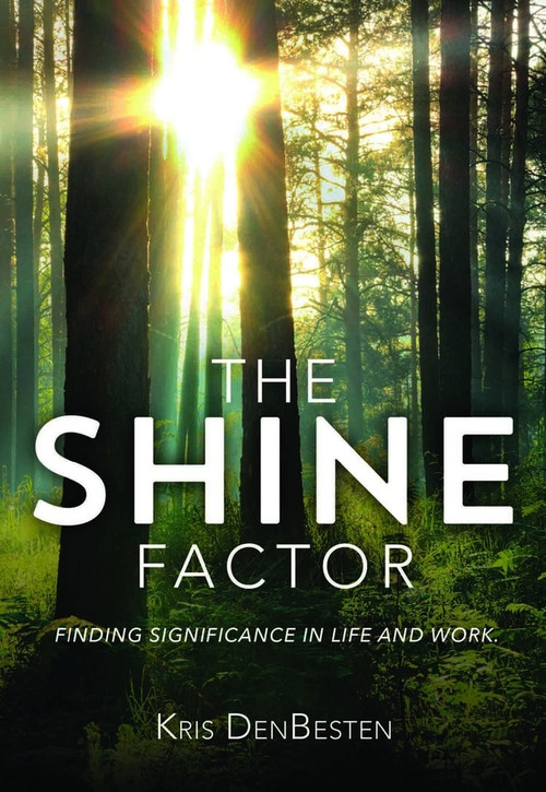 The Shine Factor by Kris  DenBesten, 9780990757863