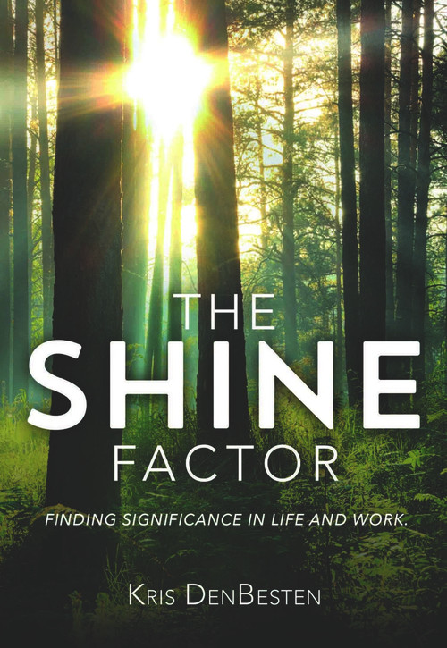The Shine Factor by Kris DenBesten, 9780990757863