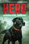 Hero: Hurricane Rescue - 9780062560438 by Jennifer Li Shotz, 9780062560438