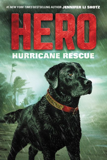 Hero: Hurricane Rescue - 9780062560438 by Jennifer Li Shotz, 9780062560438