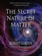 The Secret Nature of Matter by Richard Gordon, 9781623171483