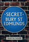Secret Bury St Edmunds by Martyn Taylor, 9781445640464