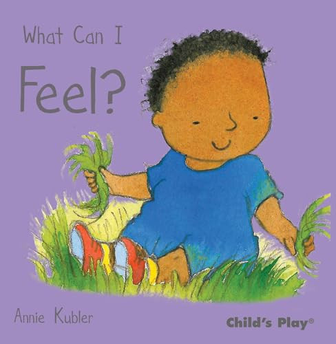 What Can I Feel? by Annie Kubler, 9781846433740