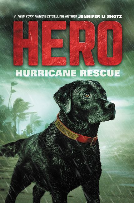 Hero: Hurricane Rescue - 9780062791399 by Jennifer Li Shotz, 9780062791399