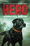 Hero: Hurricane Rescue - 9780062791399 by Jennifer Li Shotz, 9780062791399