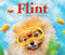 Flint the Fabulous Pomeranian by Robin Yu, 9781623435325