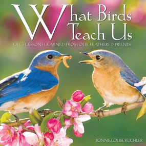 What Birds Teach Us by Bonnie Louise Kuchler, 9781682347331