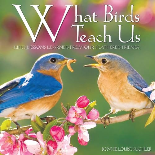 What Birds Teach Us by Bonnie Louise Kuchler, 9781682347331