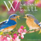 What Birds Teach Us by Bonnie Louise Kuchler, 9781682347331