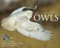 Journey With the Owl by David Evers, Kate Taylor, 9781623438494