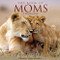 Book of Moms by Bonnie Louise Kuchler, 9781623439767