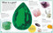 My Book of Rocks and Minerals (Things to Find, Collect, and Treasure) by Devin Dennie, 9781465461902
