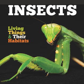 Insects - 9781786371263 by Grace Jones, 9781786371263