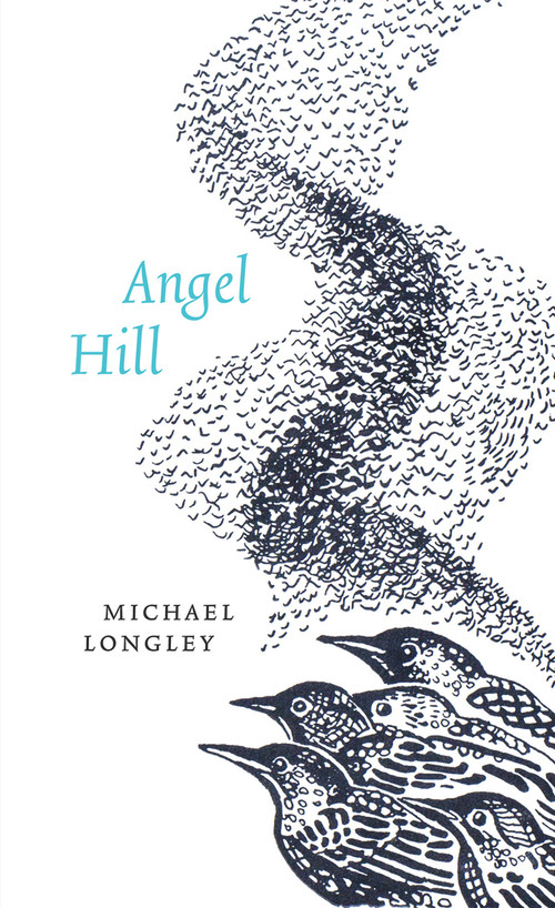 Angel Hill by Michael Longley, 9781930630819